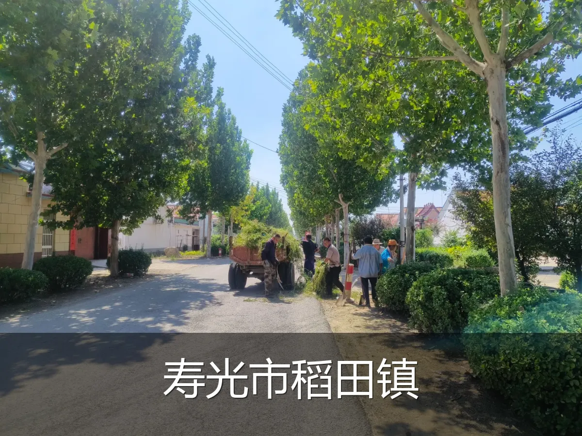 寿光市稻田镇